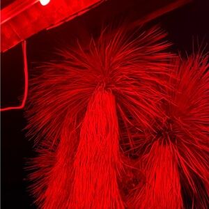 Meet your Posher, Elyssa